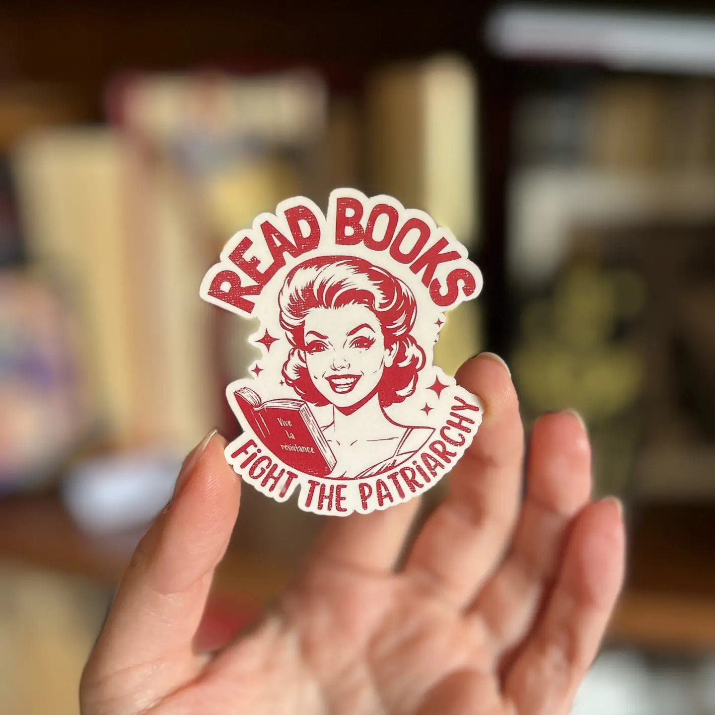Retro Feminist Bookish Sticker Romantasy Gift Kindle Sticker