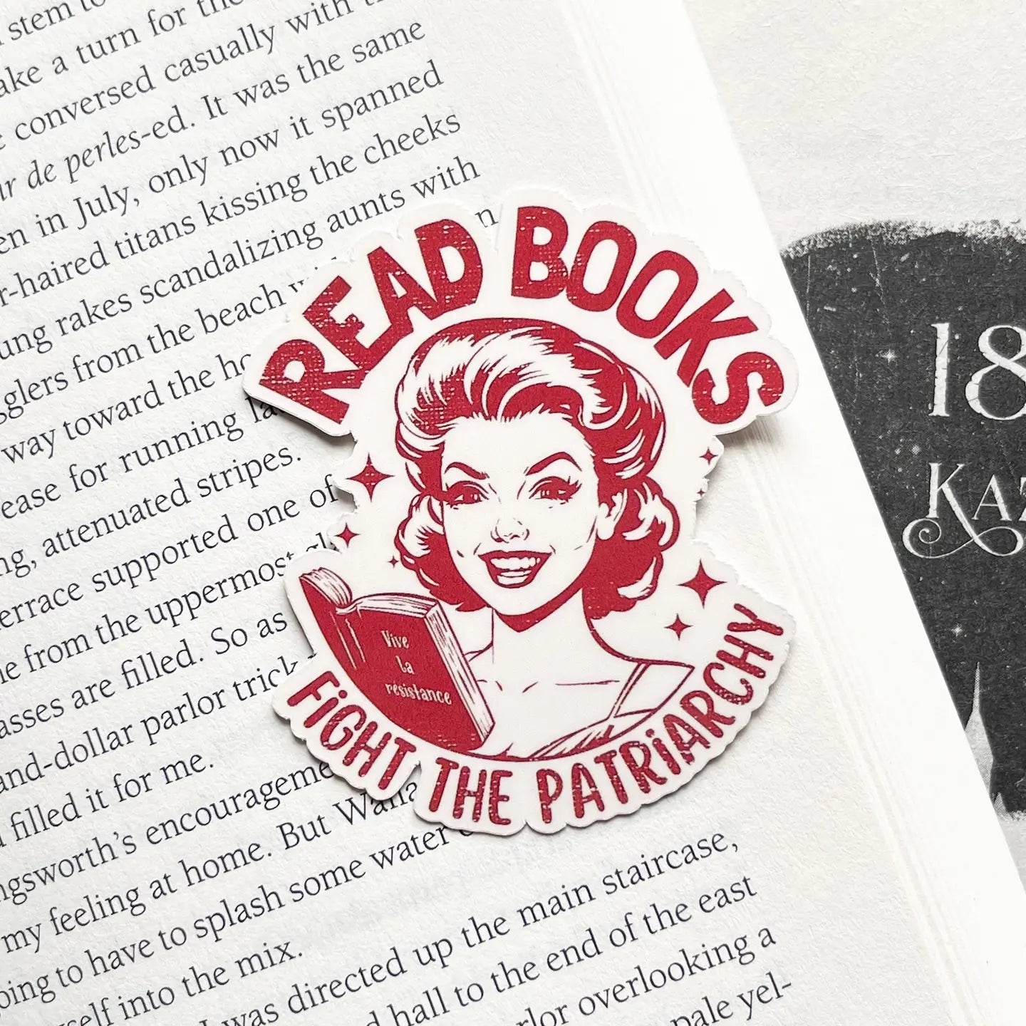 Retro Feminist Bookish Sticker Romantasy Gift Kindle Sticker