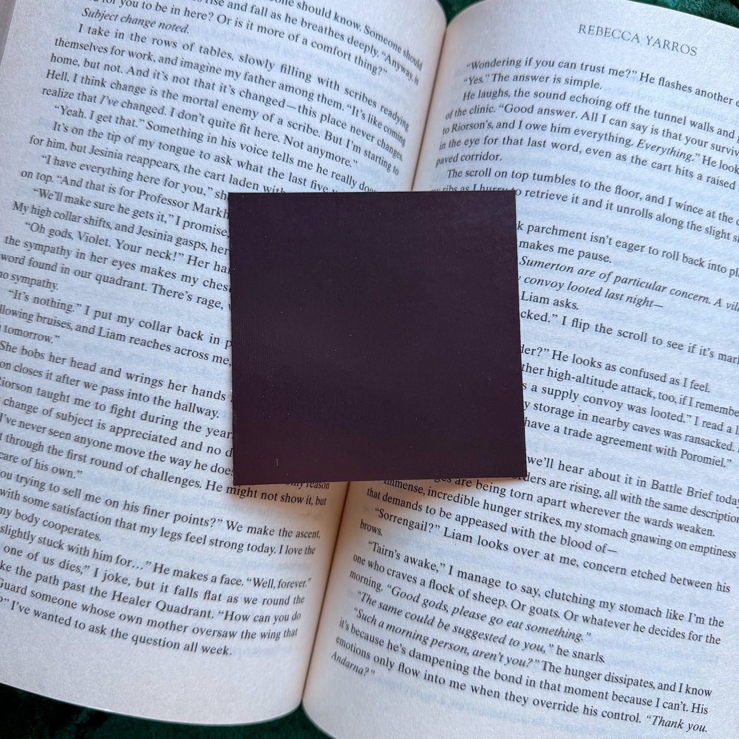 Fourth Wing Stained Glass Dragons 3.5" Magnet Bookish Gift